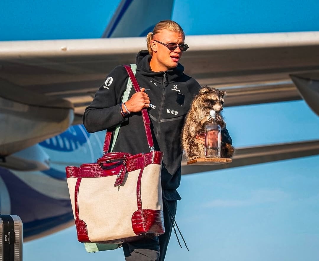 حقائب هالاند الفاخرة محط اهتمام الجميع... مجموعة Hermès النادرة وLouis Vuitton وChanel بأسعار خيالية