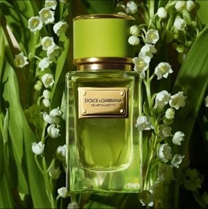 عطور مميزة بنفحات صيفية استوائية