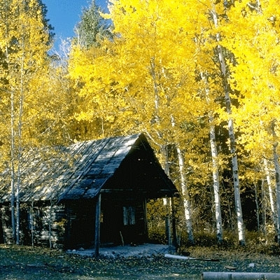 صُوَر على صُوَر