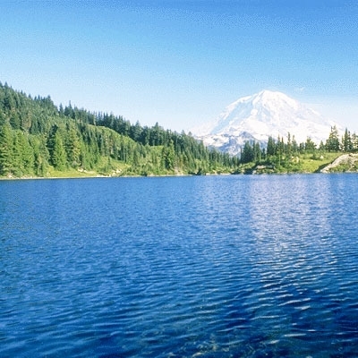 الوقت في جيبها