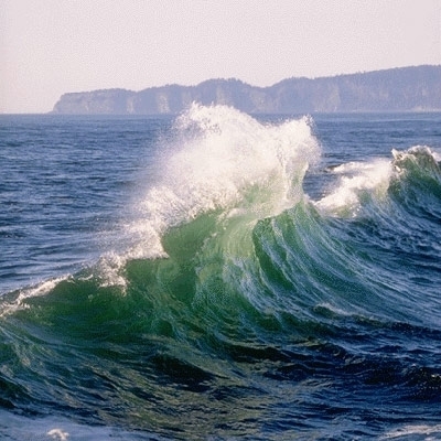 صداقة المرايا