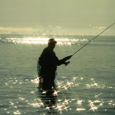 الأمل الموجع