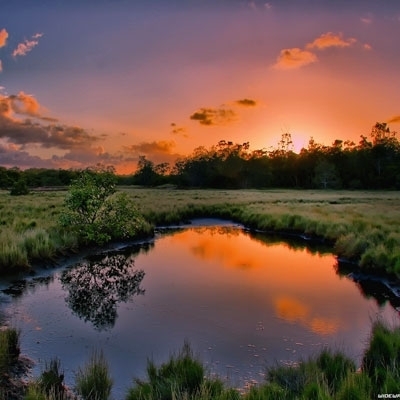 تمارين على الوحدة