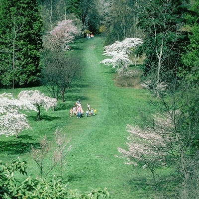 حرب الرسائل الهاتفية