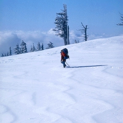 النعاس في عينيها