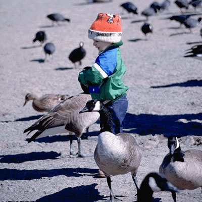 يوم مع الطفلة المعجزة