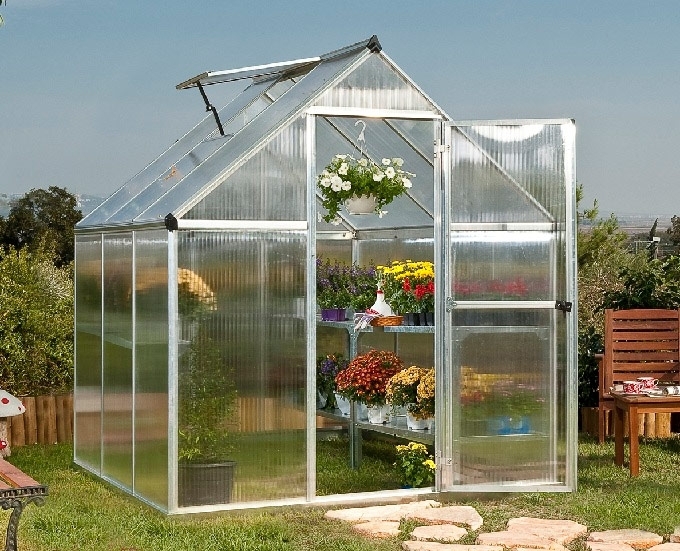 هواية 'الأسئلة'