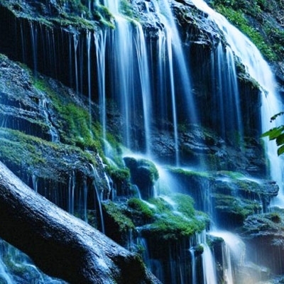 الكلمات المنقِذة