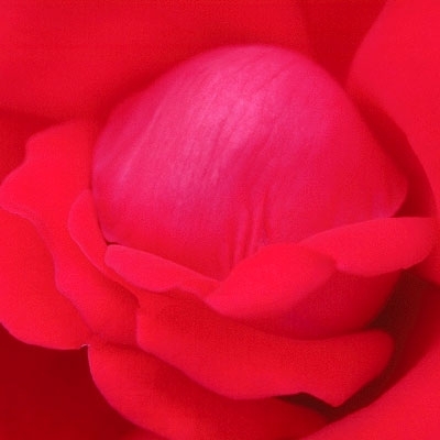 الكرسي الأحمر 