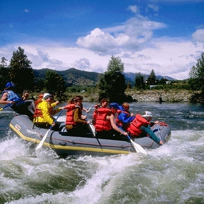 ذاكرة بوليسية