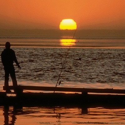 كائن 'انعزالي'