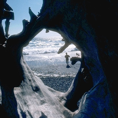 مدينة (س) الفاضلة