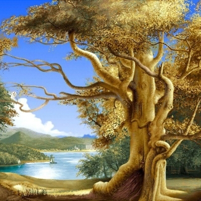 صندوق النوم