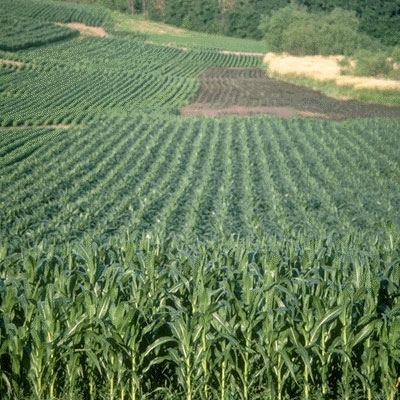 أغلى من الدهشة 