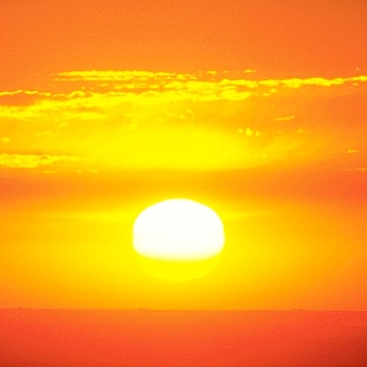 أفلام الواقع