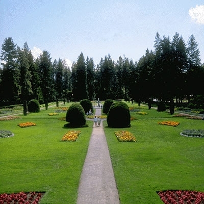 قرارات خاسرة