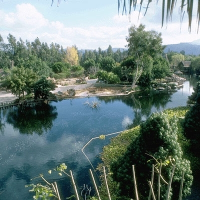 يوم الأحد 20 آذار