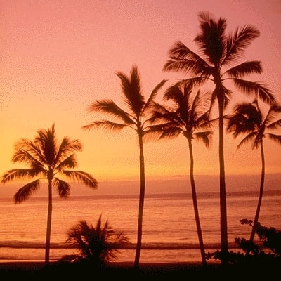 استشارة نفسية