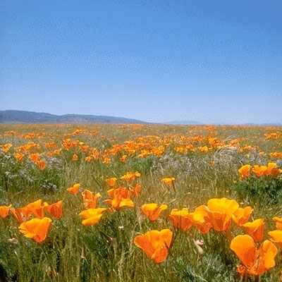 قصص قصيرة جداً