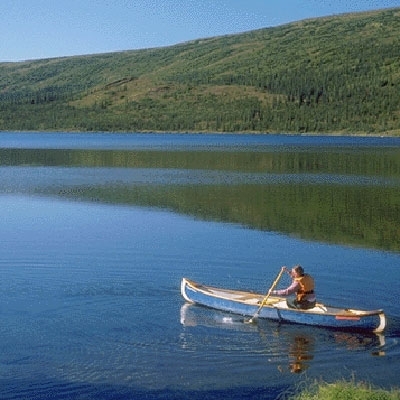 حب منتهي الصلاحية