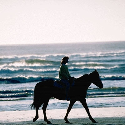 أدوات الذاكرة