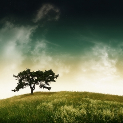 عينها اليسرى