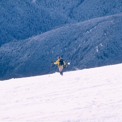 مجنون تنقصه جرأة المجانين