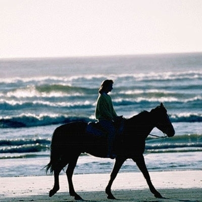 سيداتي آنساتي-4 صديقتي (أ)