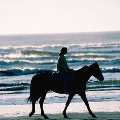 سيداتي آنساتي-4 تاريخ أسود