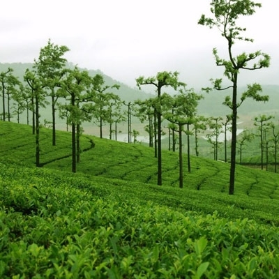 'الحياة خلال الحروب اللبنانية' في متحف 'تايت مودرن'