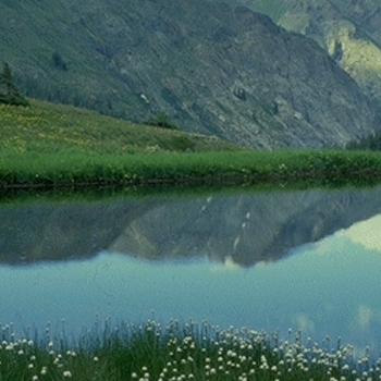 حكايات الآخرين