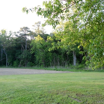 الحكمة في عينيها