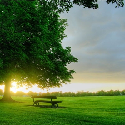 عين على الساحة