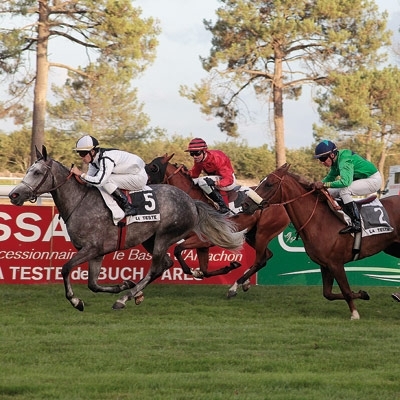 الفرس العالمية 'عصماء الخالدية'...