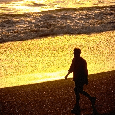 وحدة عبّاس بيضون