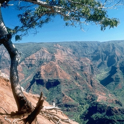 في انتظار الأمل