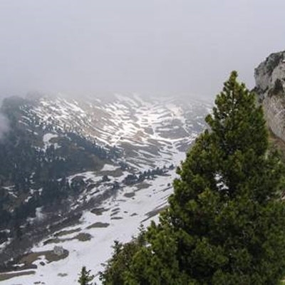 لحظة الوعي الأولى