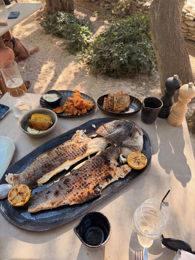 غداء ياسمين صبري من السمك المشوي