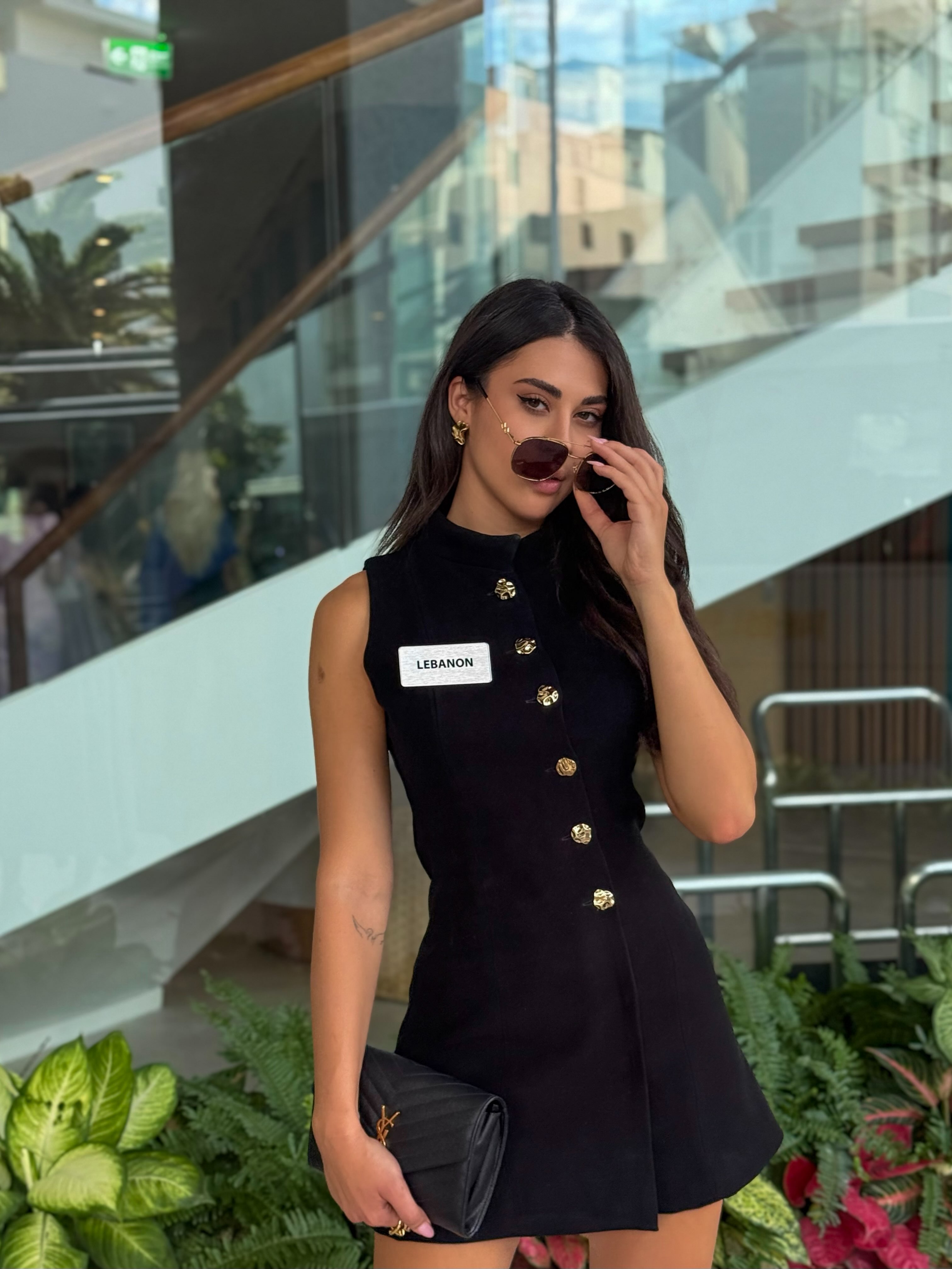 بيرلا حرب في فيتنام