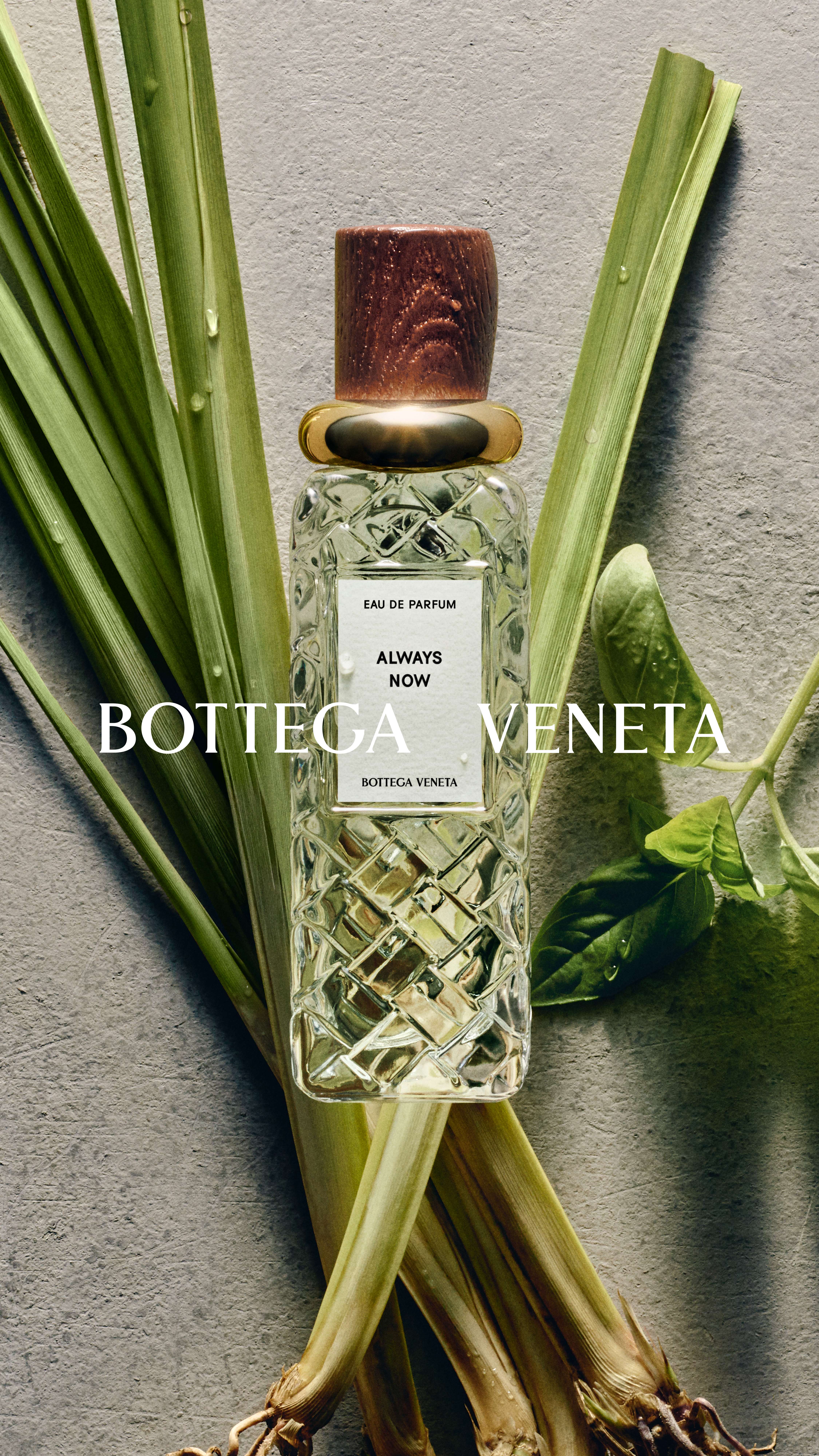 من مجموعة عطور Alta من BOTTEGA VENETA من مجموعة عطور Alta من BOTTEGA VENETA