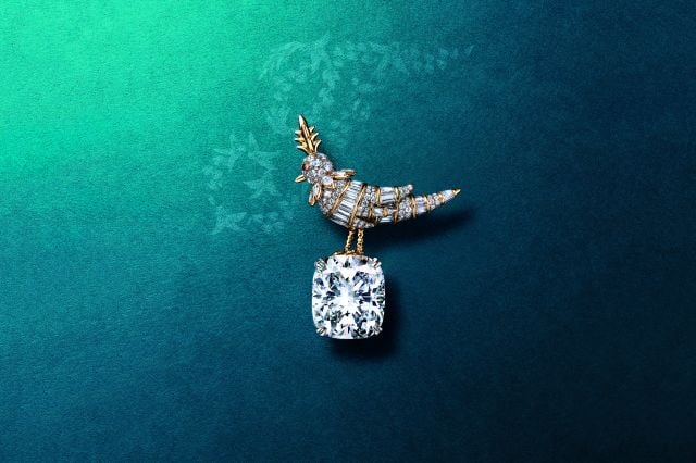 بروش Bird on the Rock يتألق بألماسة استثنائية من Tiffany & Co
