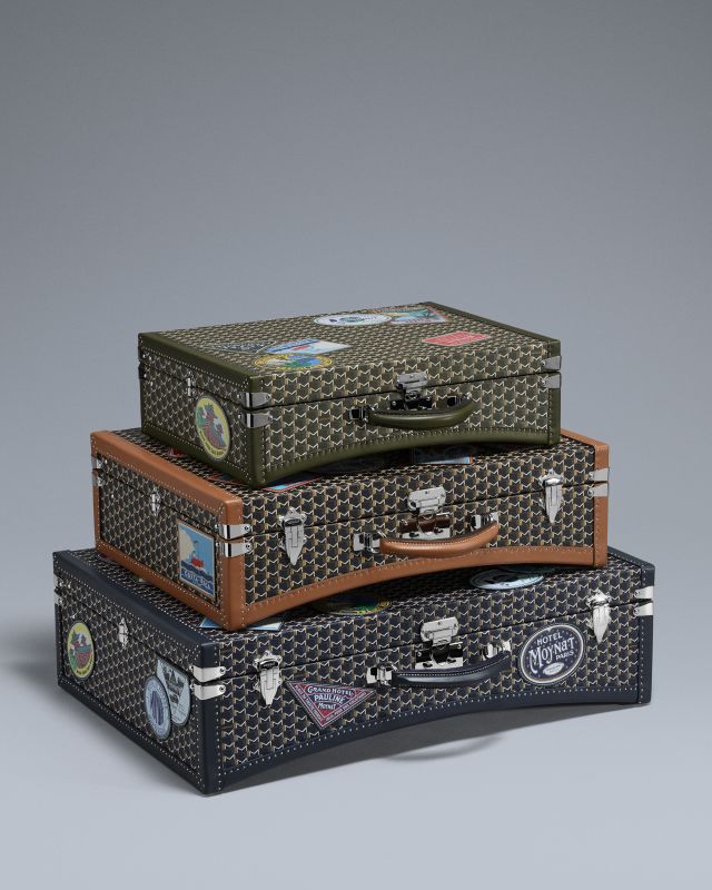 حقائب من مجموعة Hotel Moynat للسفر