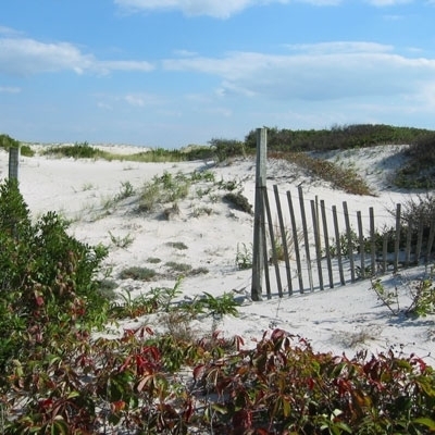 تاريخ 'لن يعيد نفسه'