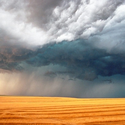 كلام العاصفة 