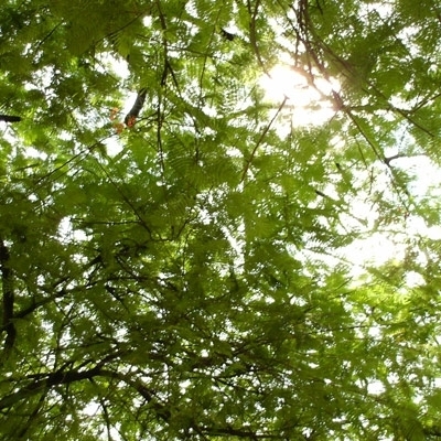 موعد مع مغنّية