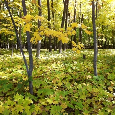 بين العاشرة والحادية عشرة