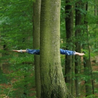 'الإنسان حيوان عاقل'