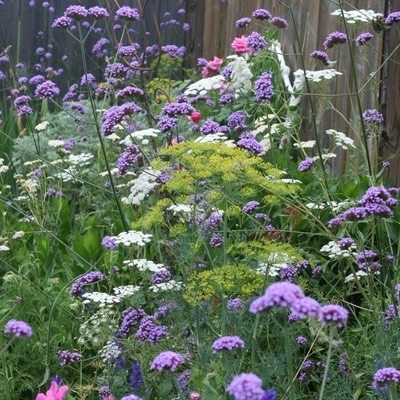 'الحكواتية'