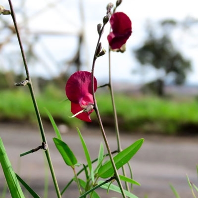 تفاصيل أخيرة