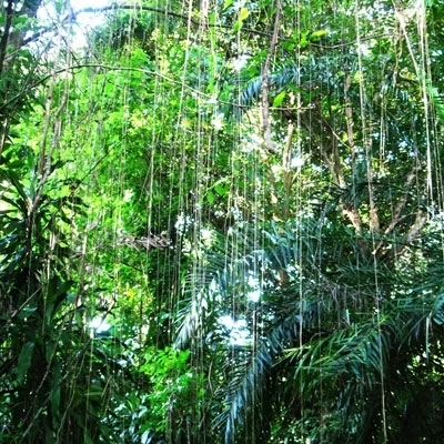 صيد الذاكرة 